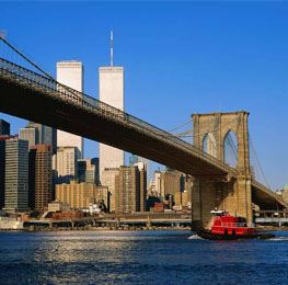 Building & Bridge Building & Bridge